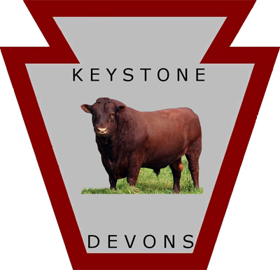 Keystone Devons Logo