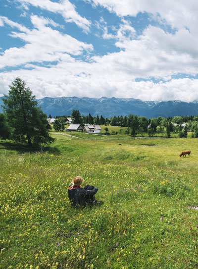 prairie with cow