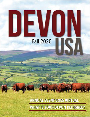Devon USA Magazine