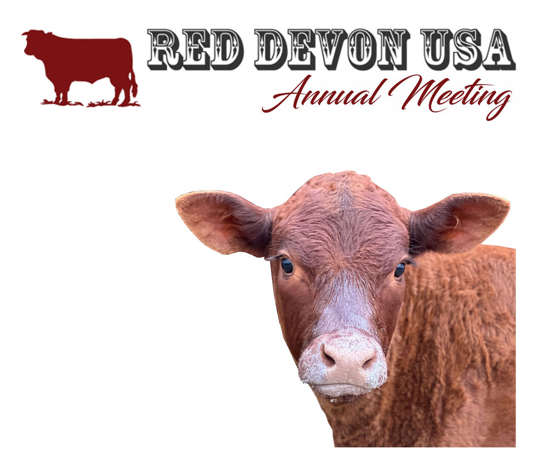 Red Devon USA  Annual Membership Meeting logo