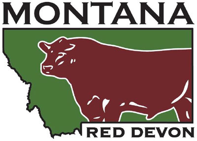 Montana Red Devon